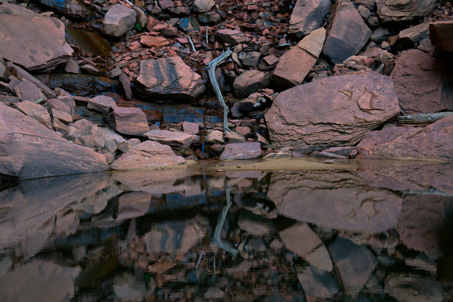 Upper Emerald Pools - Zion NP